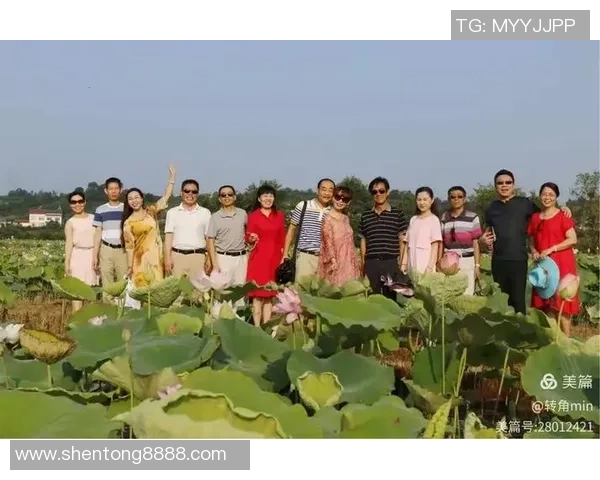 与王娜畅谈排球生涯的点滴回忆与成长历程