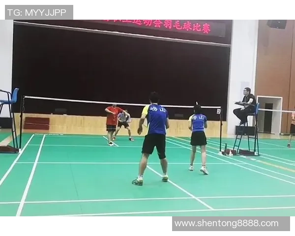 乒乓球的魅力与精神：深入深圳乒乓球队的训练与文化探索