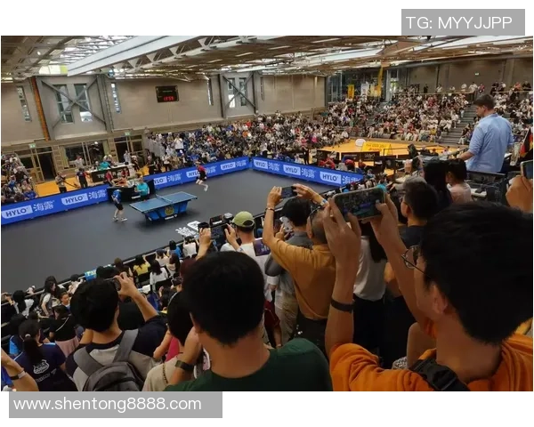 南京羽毛球队的速度变革引发热议助力竞技水平提升与未来发展